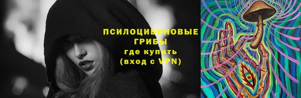 бошки Белокуриха