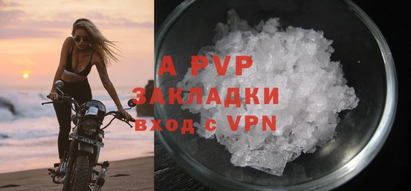 бошки Белокуриха