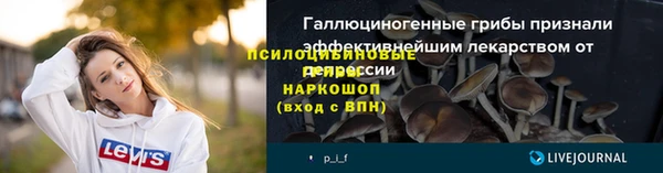 бошки Белокуриха