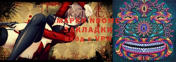 бошки Белокуриха
