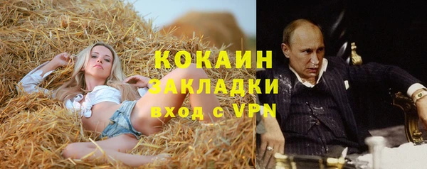 бошки Белокуриха