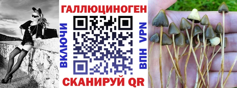 ссылка на мегу ONION  Светлогорск  Галлюциногенные грибы мухоморы 