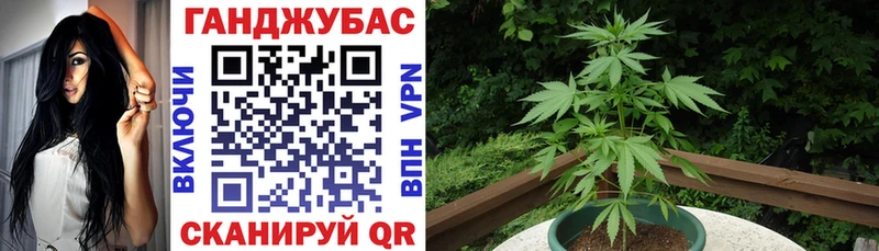 Марихуана SATIVA & INDICA  Светлогорск 